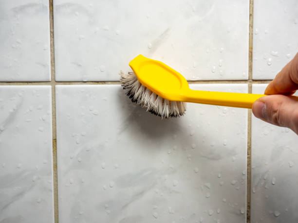 Best Home Mold Removal  in Siler City, NC