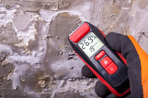 Best Affordable Mold Removal  in Siler City, NC