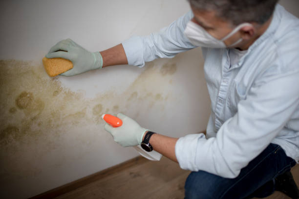 Best Mold Testing  in Siler City, NC