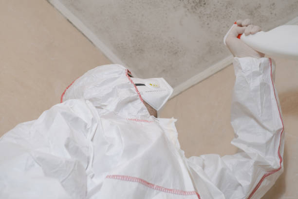 Best Mold Cleaning Services  in Siler City, NC