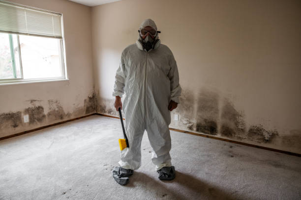Home Mold Removal in Siler City, NC
